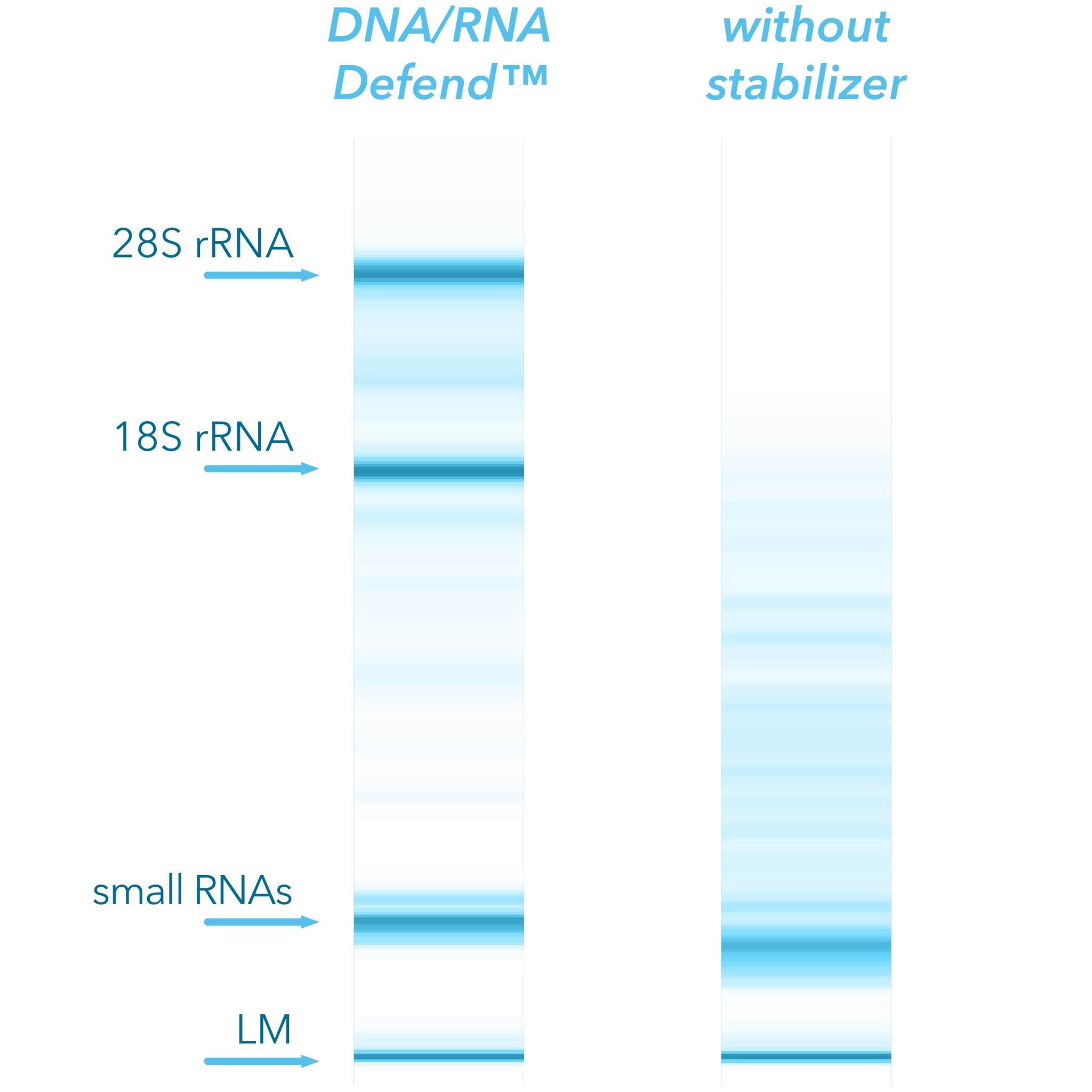 Product – DNA/RNA Defend - InActiv Blue